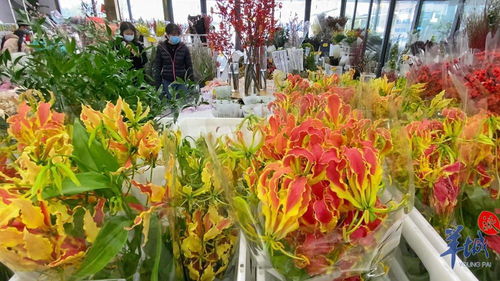 年花市場紅紅火火 本地品種與網紅產品引領新風尚，辦公用品煥發新春氣息