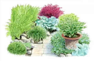 愛世園小伙伴 花境小科普，為迎接花卉盛宴做準備