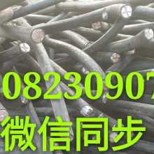 循環經濟的基石 再生資源回收的意義、挑戰與發展路徑