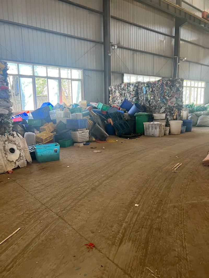 循環(huán)新動(dòng)力 廢紙、廢塑料與可燃燒固廢的回收利用之路